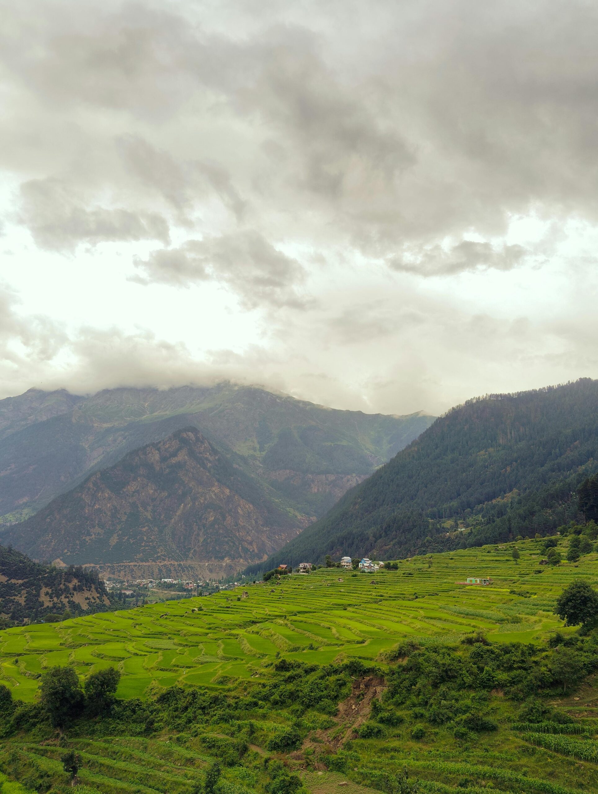 Buying Agricultural Land in Morocco as a Foreigner